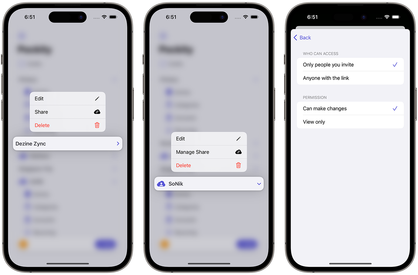 Shared Ledgers options in Pockity and its managing permissions interface.